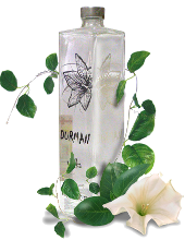 водка Durman (GIADA)